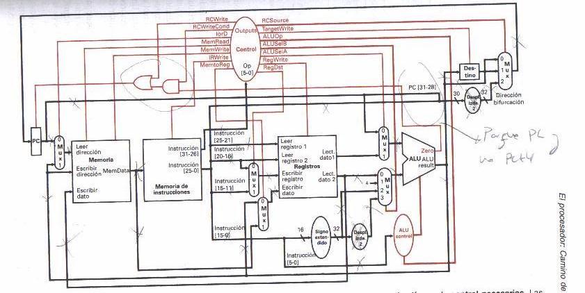 muciclo.jpg (67455 bytes)